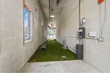 Dog run